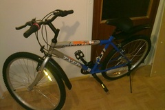 Index bike 02062011232