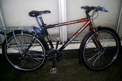 Index bike 4