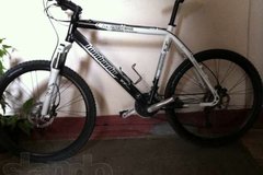 Index bike 94