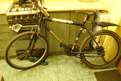 Index bike dsc09825