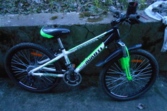 Index bike dscn3836