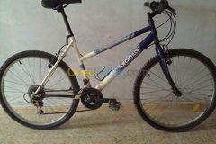 Index bike 142