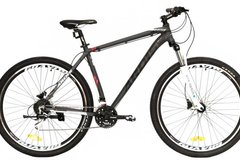 Index bike 128825437
