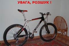 Index bike 33