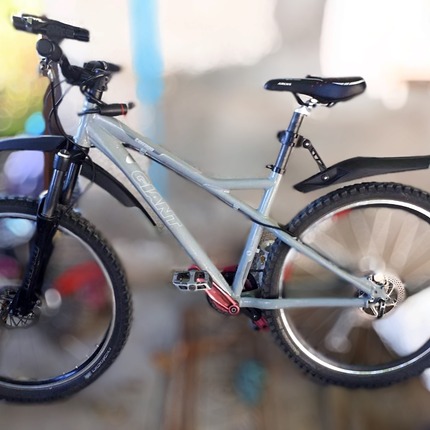 Show bike img 20210612 160304 387
