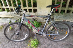 Index bike screenshot 2022 08 12 19 06 04