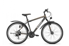 Index bike 9528