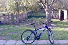 Index bike     049