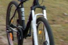 Index bike 50