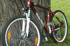 Index bike 36
