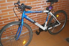 Index bike 14