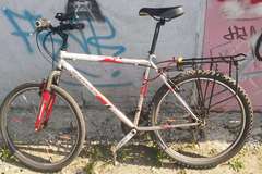 Index bike ranger magnum cross3