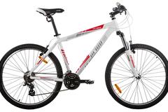 Index bike 49