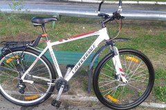 Index bike 6