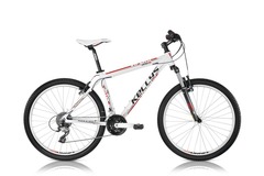 Index bike viper 30 racewhite