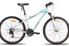 Index bike skd 39 34