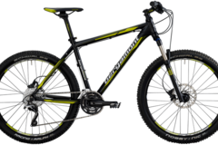 Index bike 32